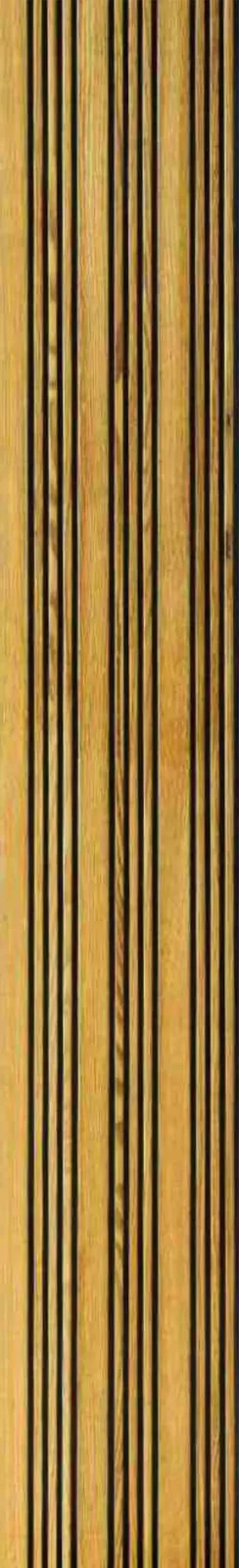 F01-teak