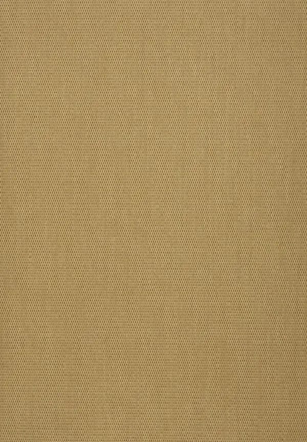 21006