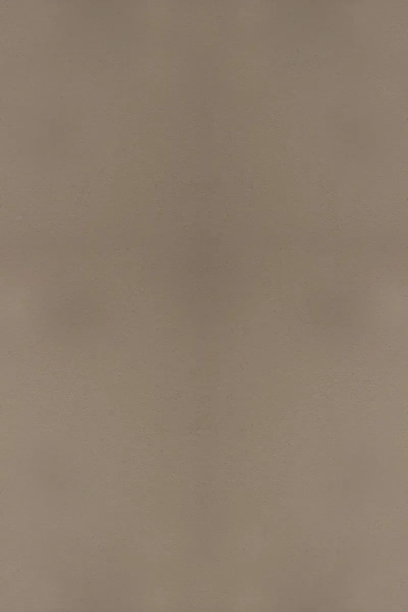 S-1008