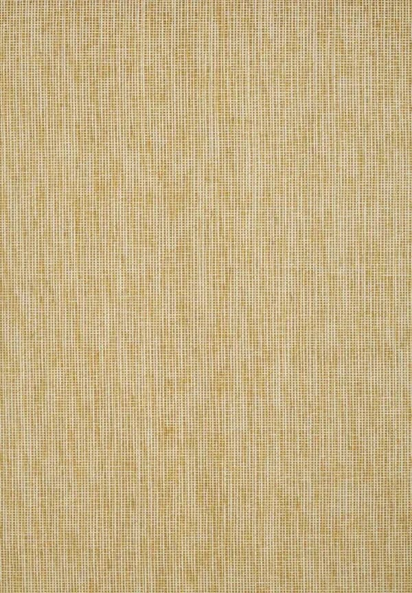 21003