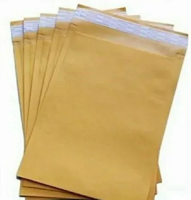Paper Bage Swith Flap