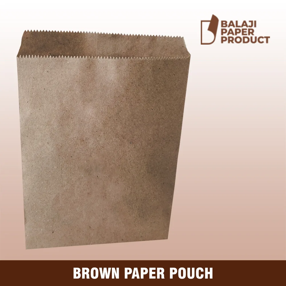 Brown Paper Pouch