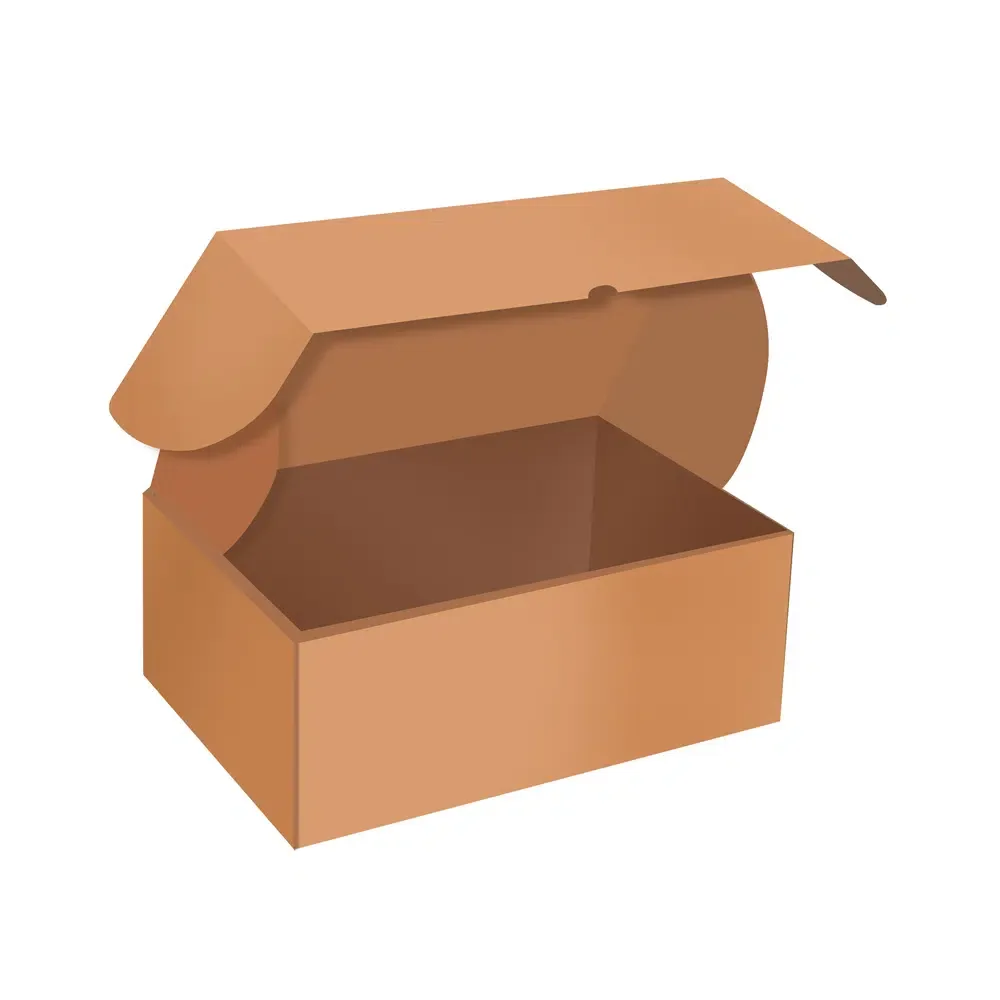 Shoe Boxes
