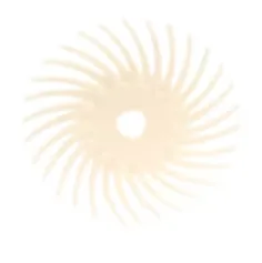 Scotch-Brite™ SR Radial Bristle Disc