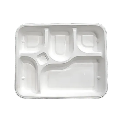 Bagasse