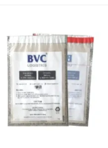 Currency Bag With Level-2 Security Tape
