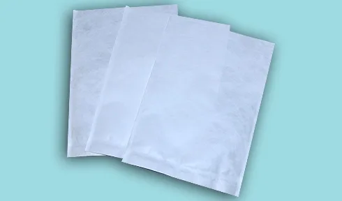 Tyvek® Sterilization Pouch (Inficlean® Pouches)