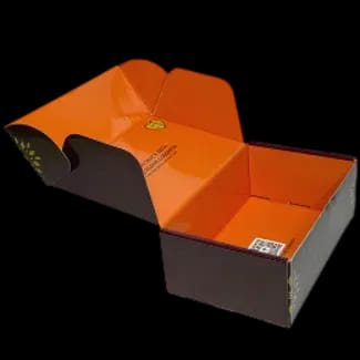 Shoes Box
