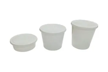 Food Container