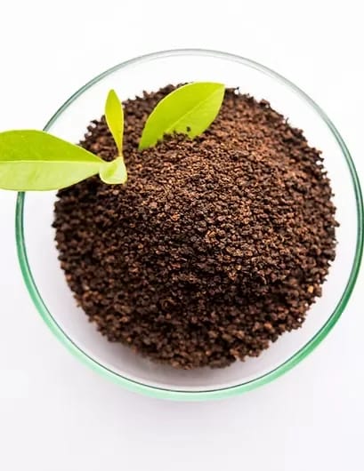 Tea