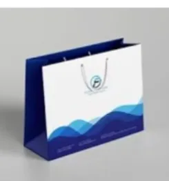 Euro Tote Paper Bag